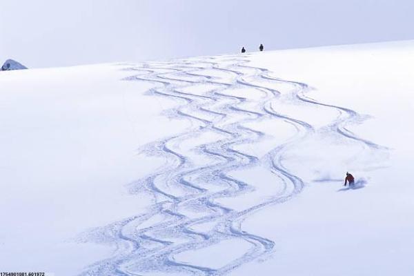 南平市体育培训课程与收费标准