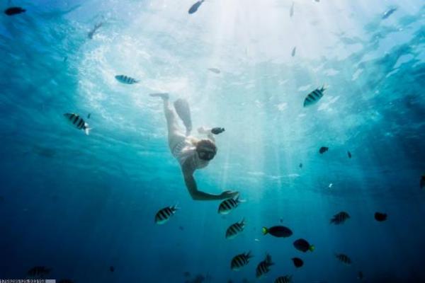 体育项目小儿特长选择